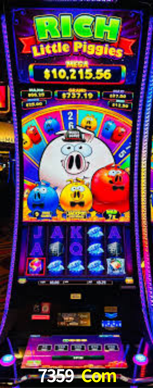 Interface Premium 7359 Com